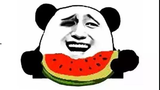 吃瓜群众大肥猫,大瓜来袭！揭秘吃瓜群众大肥猫的趣味生活