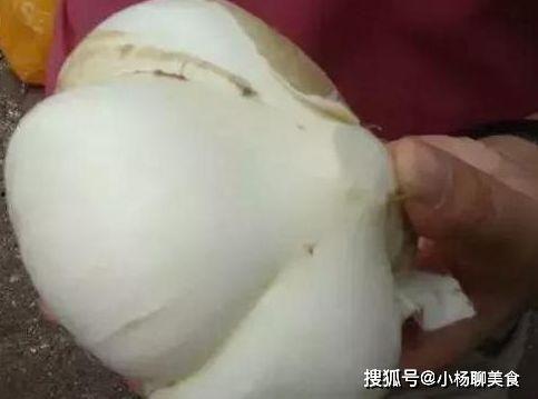 早孕可以吃土瓜,天然滋补，呵护母婴健康
