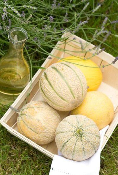 立秋吃三肉吃三瓜,品味三肉三瓜,养生美食攻略