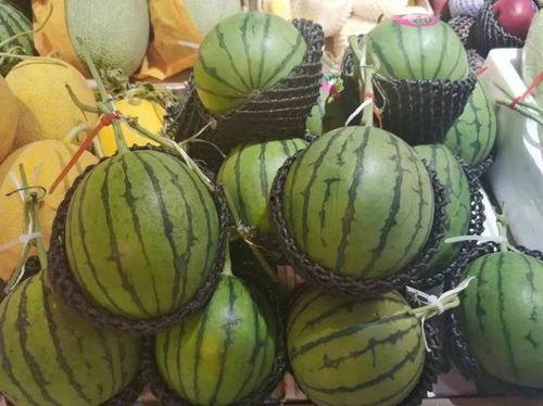 吃瓜谜,探寻瓜界背后的秘密与趣味