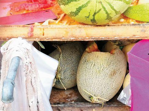 吃环孢素敢吃哈密瓜吗,安全食用指南