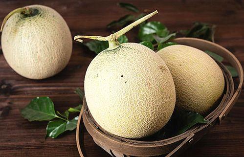 网纹瓜有点生怎么吃,解锁清新口感新体验