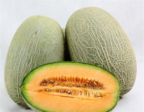 吃瓜的美味哈密瓜,哈密瓜的美味诱惑