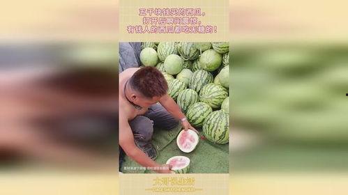 有钱人吃瓜,揭秘有钱人的独特饮食文化