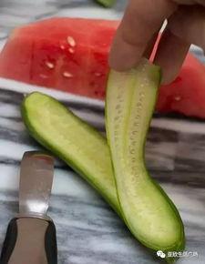 吃瓜群众黄瓜聊天,黄瓜聊天背后的趣味与思考