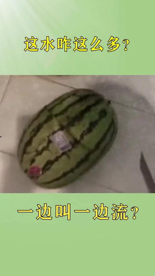 重庆厕所吃瓜,一场意外的“吃瓜”盛宴