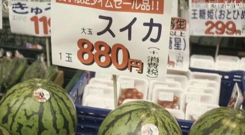 东京吃瓜,一网打尽网红美食与街头趣闻