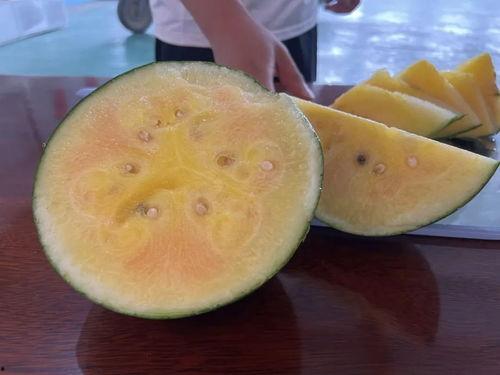 带你吃瓜新作品,揭秘娱乐圈幕后风云