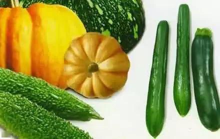 收藏界吃瓜,揭秘吃瓜背后的精彩故事