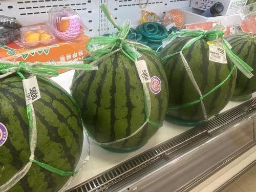 吃瓜的是什么神仙,吃瓜群众背后的神秘力量