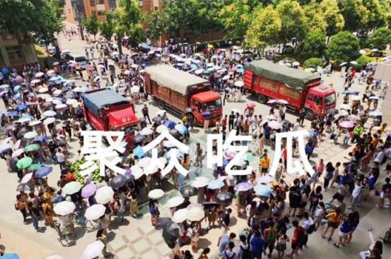 安徽吃瓜大学,校园生活里的趣味观察