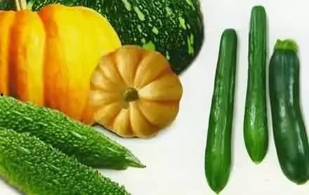 吃什麼瓜,品味生活——探寻各地特色瓜果美食之旅