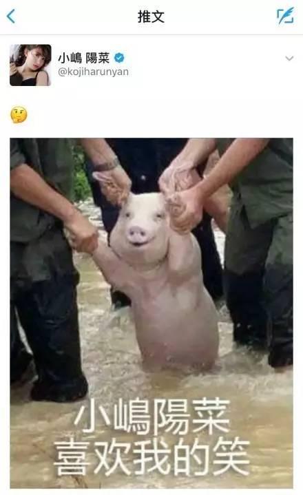 吃瓜群猪,揭秘网络社交圈的趣味与争议