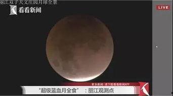 蓝月亮吃瓜视频