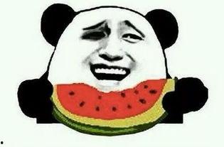 吃瓜群众年度大戏,吃瓜群众围观娱乐圈风云变幻