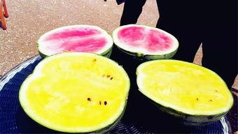 黑粉爆料吃瓜,娱乐圈惊天大瓜，真相竟如此惊人！